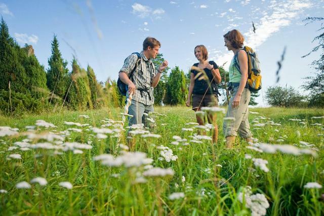 Nengshof Ferienwohnung Wildrose Висмансдорф Экстерьер фото